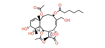 Briarlide M